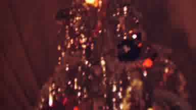 Terra Haute Indiana USA (1963): Looking At A Christmas Tree