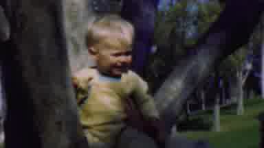 Terra Haute Indiana USA (1963): Kid Lying On A Tree With Champ In The Background