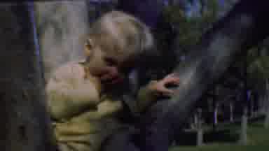 Terra Haute Indiana USA (1963): Baby Sitting In Tree