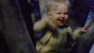 Terra Haute Indiana USA (1963): Baby Sitting In A Tree Waving His Hand