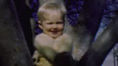 Terra Haute Indiana USA (1963): A Happy Lil Baby Boy Who Is Sitting In The Tree