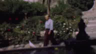 San Diego California USA (1961): The Look Of A Real Animal Lover