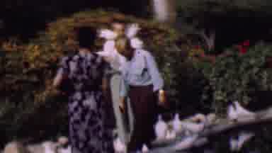 San Diego California USA (1961): A Man Holds Pigeons On His Arms And Shoulders