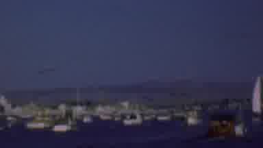 San Diego California USA (1961): White Sail Boats