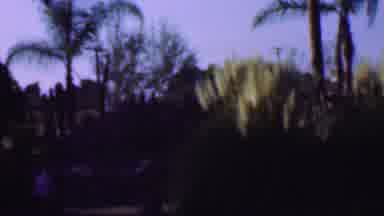 San Diego California USA (1961): Family Outside In Nature On Vacation Walking
