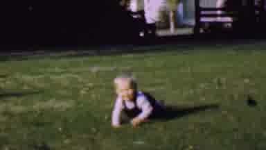 San Diego California USA (1961): Baby Crawling Over Grass Of Backyard On Family