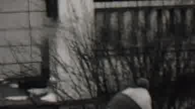 Beachwood New Jersey USA (1937): Three Kids Standing Outside Next To A Mailbox In