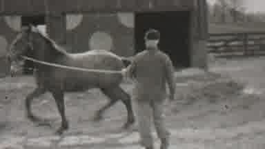 Beachwood New Jersey USA (1937): Vintage Horse Training