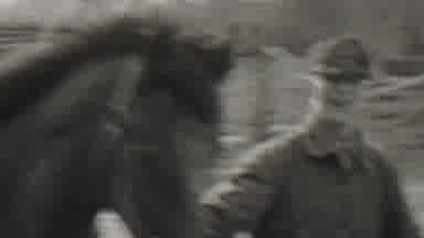 Beachwood New Jersey USA (1937): Man Proudly Showing Off His Horse