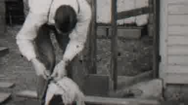 Beachwood New Jersey USA (1937): Goat And Dog In Circus On Stage