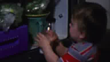 Des Moines Iowa USA (1959): Small Child Grabbing A Glass Of Milk