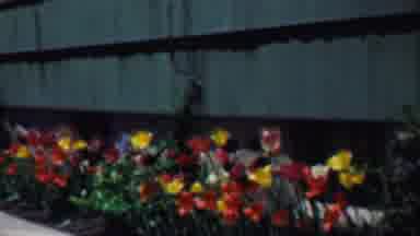 Grand Rapids Michigan USA (1958): Short Clip Of A Old Car And Then A Border Of