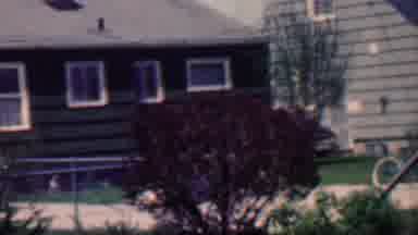 Grand Rapids Michigan USA (1958): Bike, Chain Link Fence, Shrubs/Tree, Mowed Lawn,
