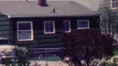 Grand Rapids Michigan USA (1958): Shingle House With A Small New Tree In The Yard