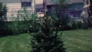 Grand Rapids Michigan USA (1958): Older Man Lying On Hammock Waving At Camera In
