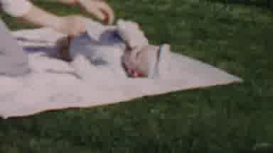 Lincoln Nebraska USA (1962): A Lady Finishing Changing Her Baby's Diaper In A Park