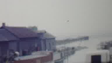 Louisiana USA (1959): Houses And Some Boats Appear On The Water, Three People Are