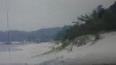 Louisiana USA (1959): Flash Back Lonely Gloomy Beach Scared Child Lost In The Mist