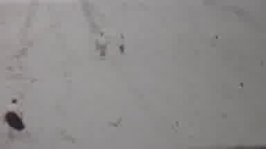 Louisiana USA (1959): People Walking Up And Down A Hill Made Of Sand
