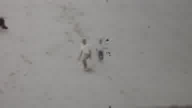 Louisiana USA (1959): People Walking Down A Hill A Person Riding A Bicycle