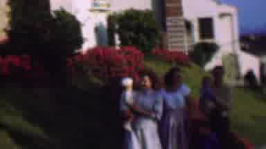 San Diego California USA-1961: Family Portrait on Hillside with Red Flowers