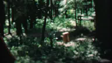Farragut State Park Idaho USA (1967): Scanning The Forest For Signs Of Life