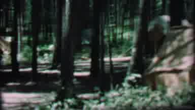 Farragut State Park Idaho USA (1967): Tents Line Up To Form An Encampment In A
