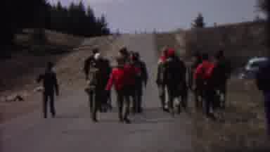 Farragut State Park Idaho USA (1967): A Group Of Boy Scouts Walk Down A Rural Road
