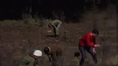 Farragut State Park Idaho USA (1967): Boy Scout People Working In Field Outside