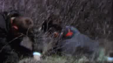 Farragut State Park Idaho USA (1967): Family Works Together To Harvest