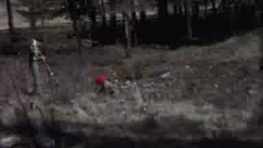 Farragut State Park Idaho USA (1967): People At Work