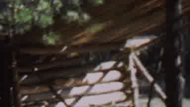 Farragut State Park Idaho USA (1967): Lonely Leaved Wooden House In The Middle Of
