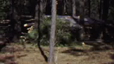 Farragut State Park Idaho USA (1967): Log Cabin In The Woods