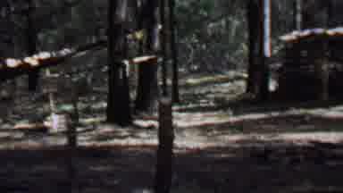 Farragut State Park Idaho USA (1967): Cabin In The Woods