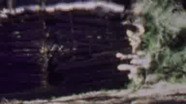 Farragut State Park Idaho USA (1967): Camp Flognaw Under Construction