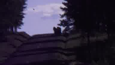 Farragut State Park Idaho USA (1967): People Walking Down The Road