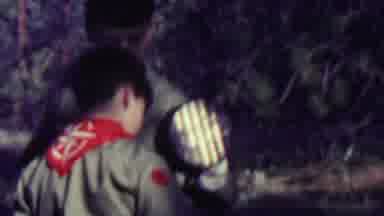 Farragut State Park Idaho USA (1967): Boy Scouts Making S'mores Outside As A Group