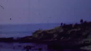 San Diego California USA (1961): Scenic Video Outdoors Video Of Water