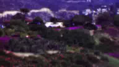 San Diego California USA (1961): Flower Power