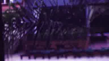 San Diego California USA (1961): Filming Of The Pool Area Behind A Condominium At