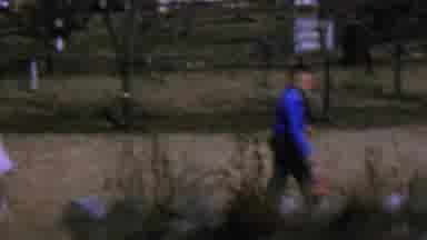 St Louis Missouri USA (1964): Boy Girl Dress Clothes Hunt Easter Eggs Garden Trees