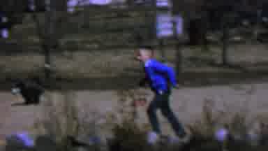 St Louis Missouri USA (1964): Kids Running Around The Yard Looking For Eggs