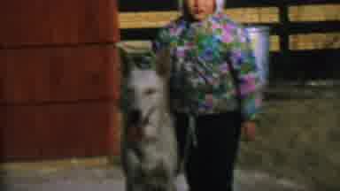 St Paul Minnesota USA (1962): Girl With Her Dog With Quick Shot Of Boy Or Brother