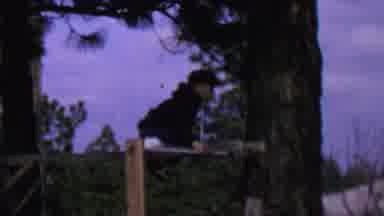 St Paul Minnesota USA (1962): A Child Clambers On The Monkey Bars Near A Lightly