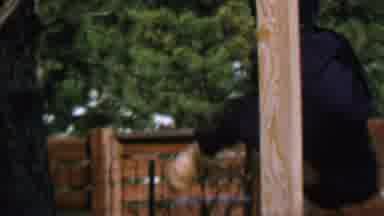 St Paul Minnesota USA (1962): Boy Climbing On Monkey Bars In A Park On A Clear-Sky