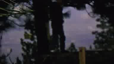St Paul Minnesota USA (1962): Two Kids Playing On The Tree And Playground