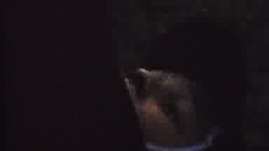 ST PAUL MINNESOTA USA-1962: Child Lying In An Unknown Place To The Sound Of A