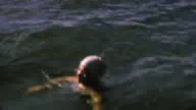 St Paul Minnesota USA (1962): A Person Is In The Water With What Looks To Be A