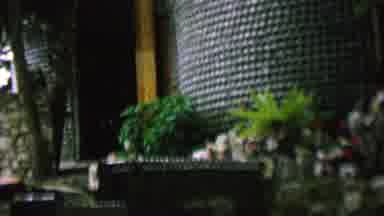 St Paul Minnesota USA (1962): Plants Decorate The Front Of A Structure With An