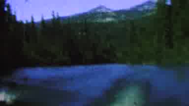 St Paul Minnesota USA (1962): Boat Travel On Forested Lake Wakes